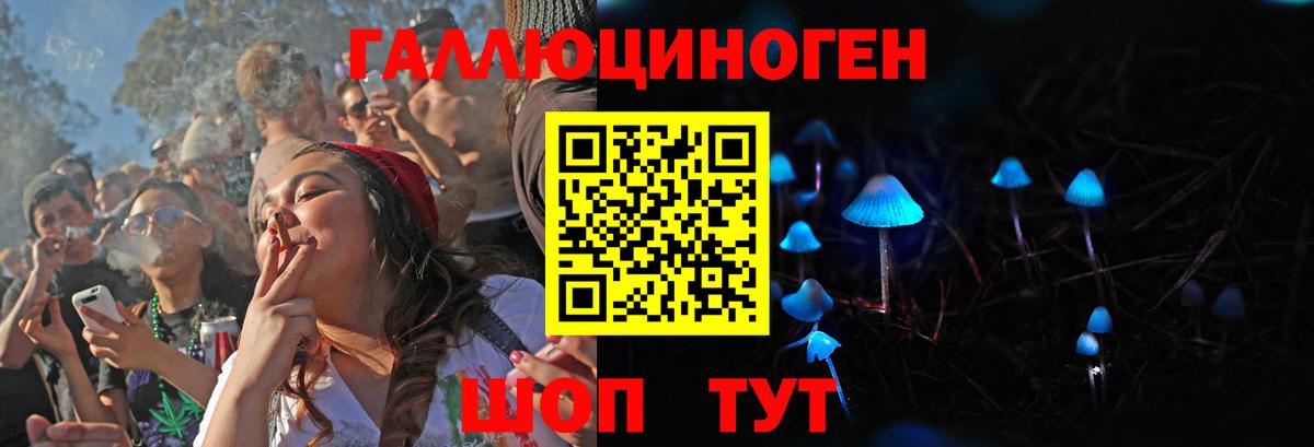 Псилоцибиновые грибы Psilocybe  Галлюциногенные грибы прущие грибы  Вход с VPN  Набережные Челны 